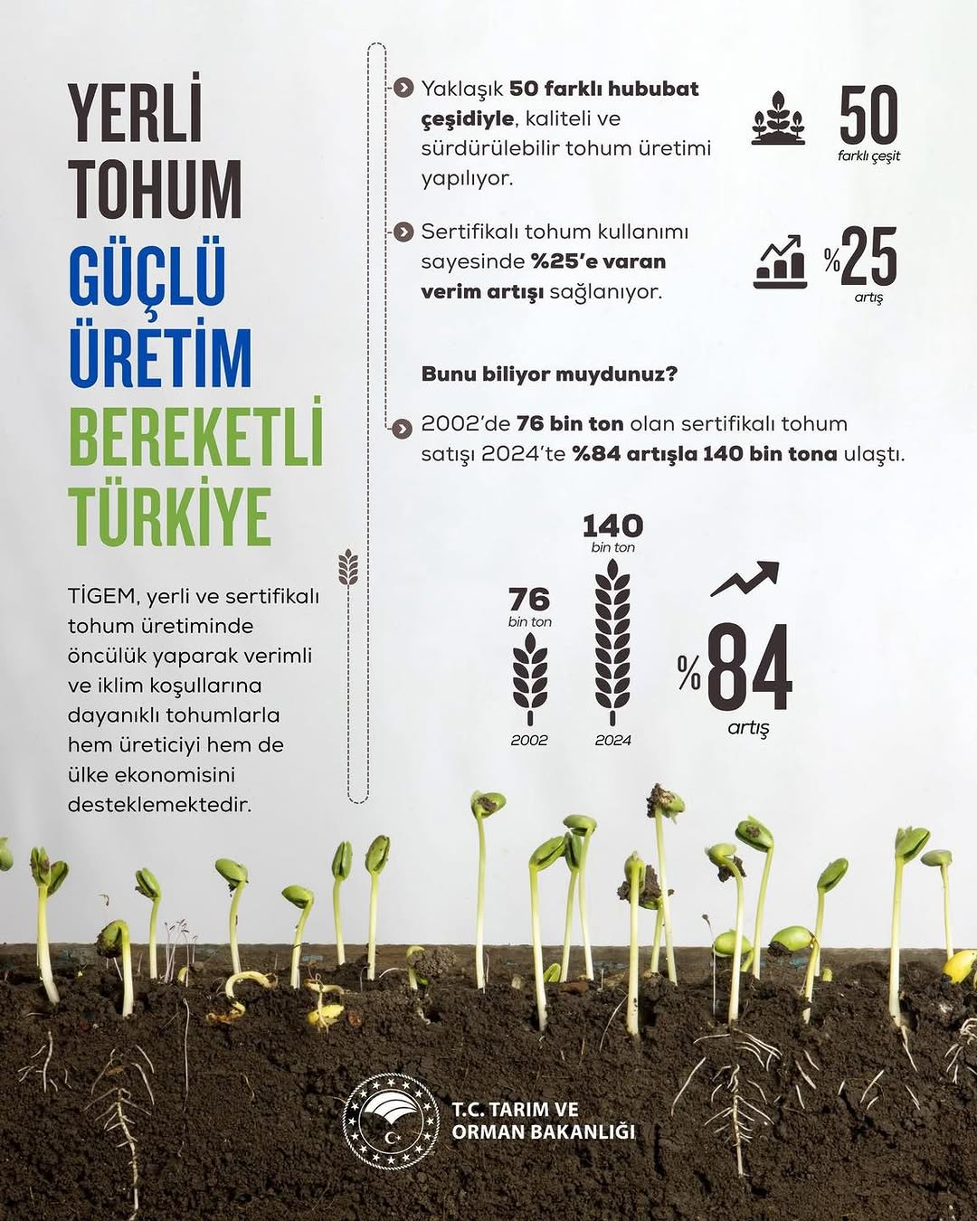 Yerli Tohumla Büyüyen Üretim: Bereketin Teminatı