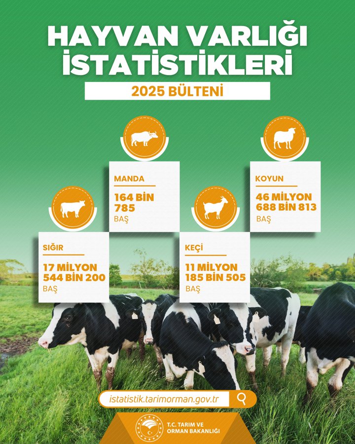 2025 Hayvan Varlığı İstatistikleri
