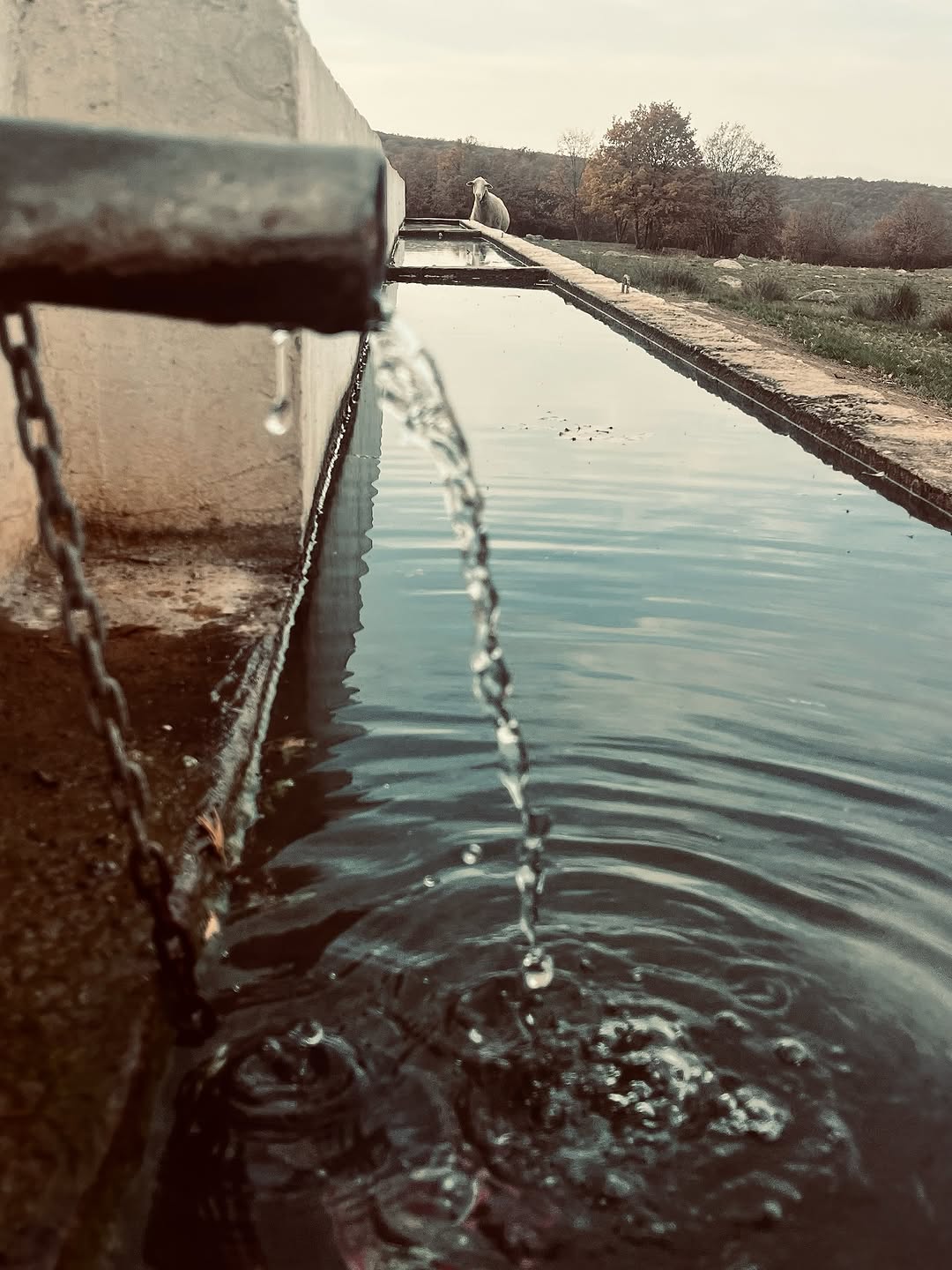Afyonkarahisar Güney Belediyesi'nden Mutlu Haftalar Dileği