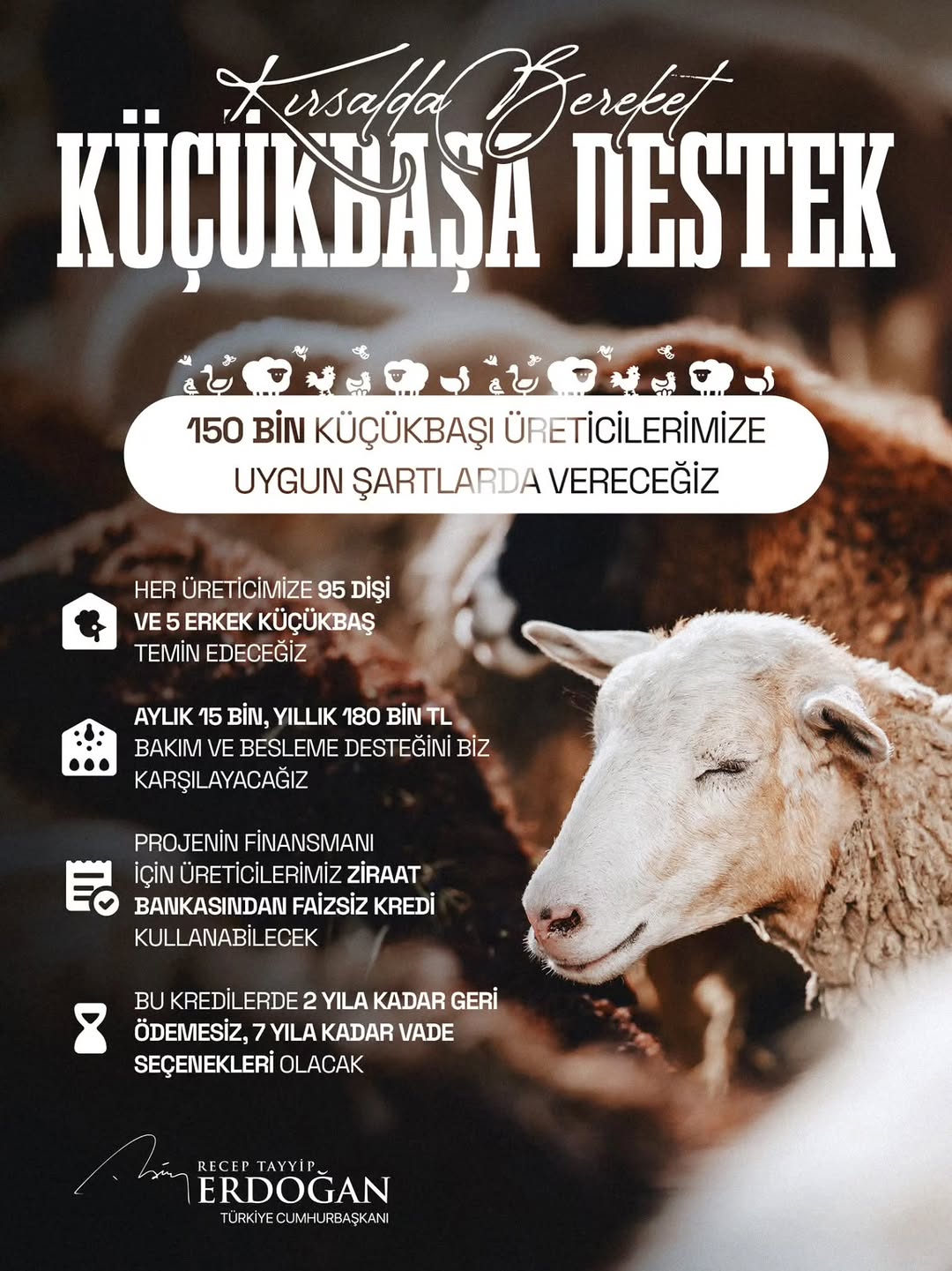 Cumhurbaşkanımızın Müjdesiyle Kırsalda Bereket Küçükbaşa Destek Projesi Hayata Geçiriliyor