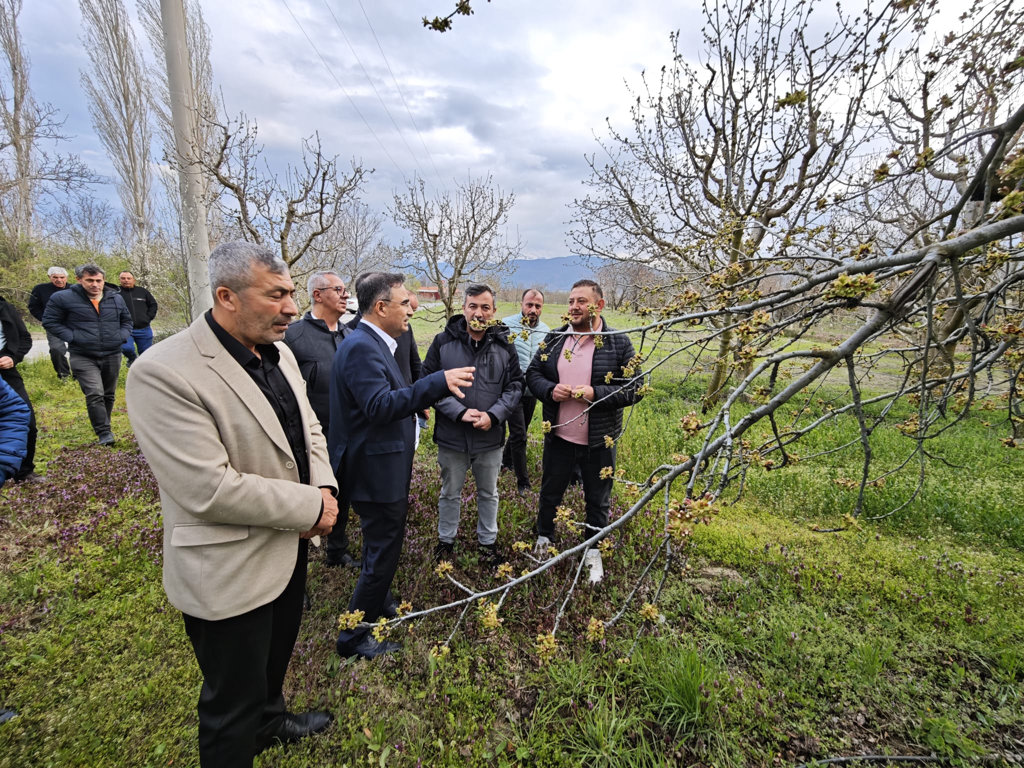 Kirazın Başkentinde Yüzler Gülüyor: 35 Bin Ton Rekor Beklentisi