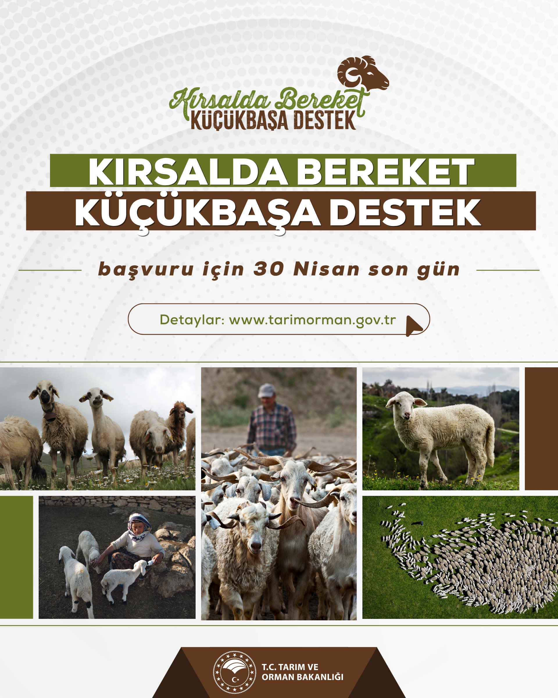 Kırsalda Bereket Projesi için son başvuru günü