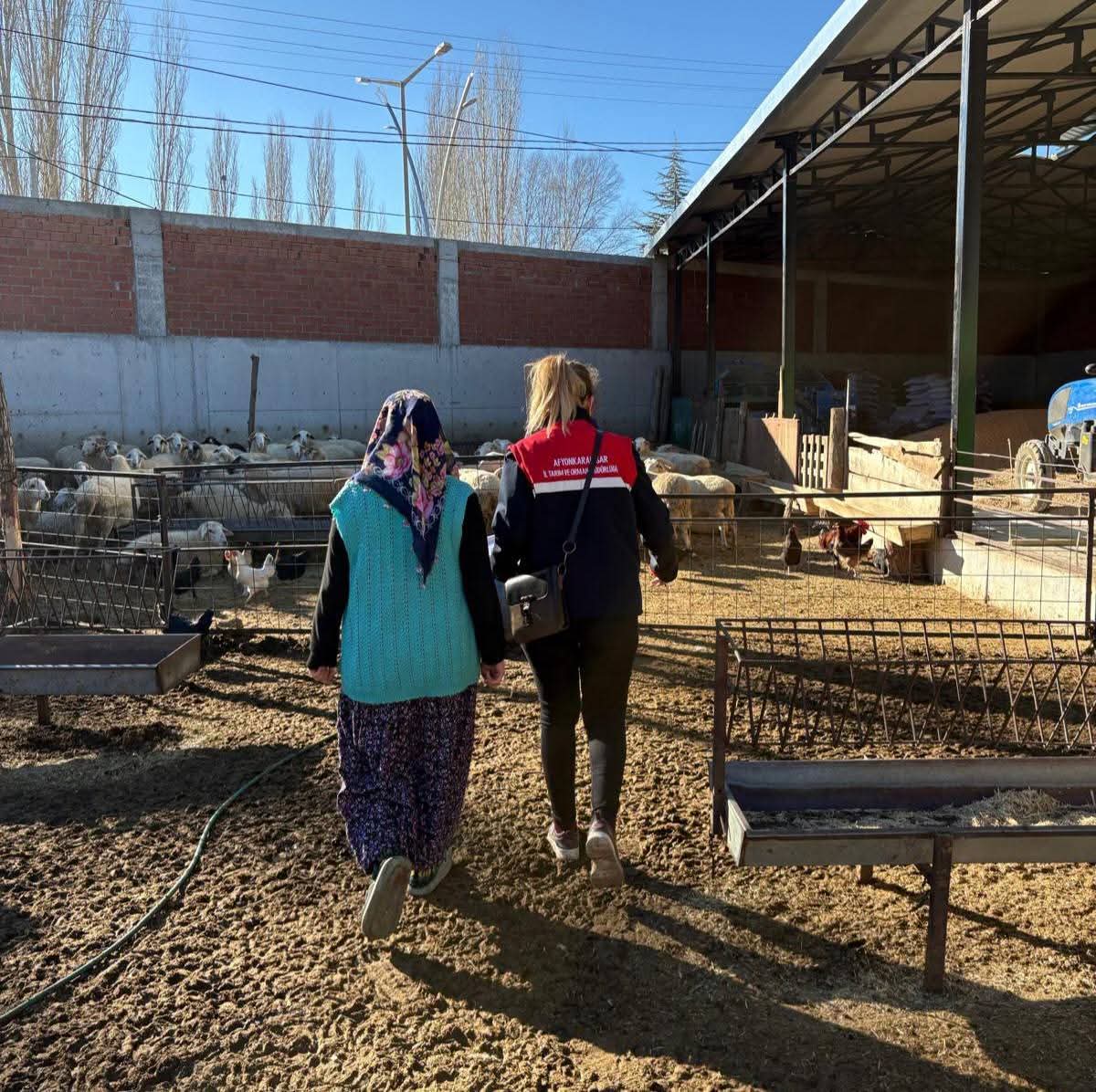 Sandıklı ve Sinanpaşa’da Saha Denetimleri
