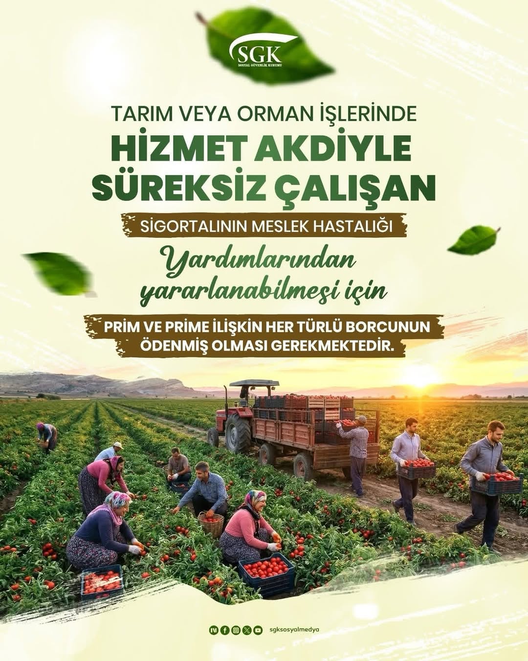 Tarım veya Orman İşlerinde Hizmet Akdiyle Çalışan Sigortalıların Meslek Hastalığı Yardımlarından Yararlanma Şartları