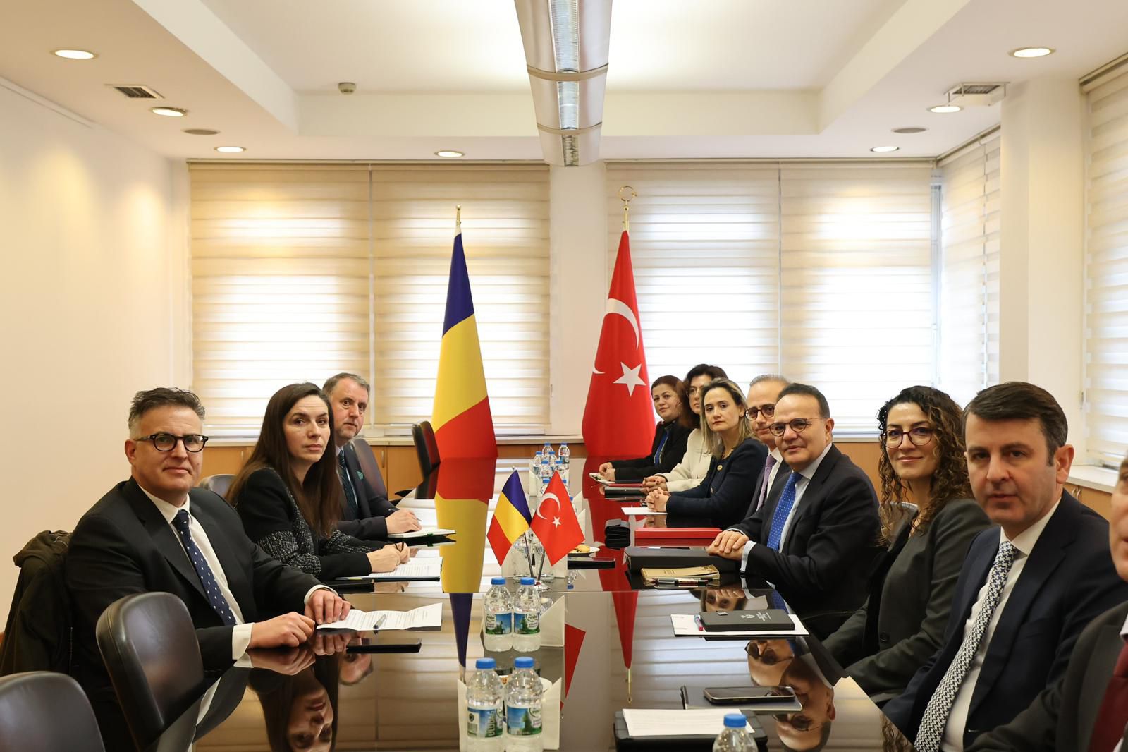 Türkiye-Romanya Siyasi İstişareleri