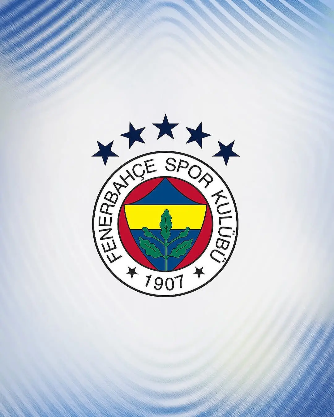 Fenerbahçe'den Acun Ilıcalı ve Hull City'ye Tebrik